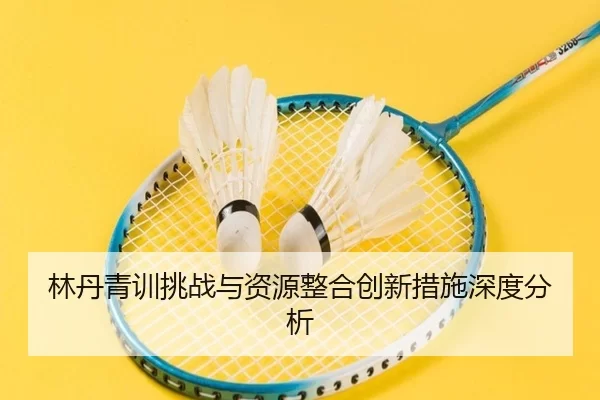 林丹青训挑战与资源整合创新措施深度分析